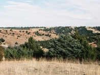 Dunse Ranch