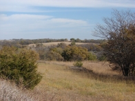 Fedde Farm