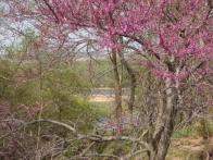 Shanahan Farm